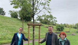 RCB-Präsidentin Dr. Jäckel, Bürgermeister Richter und Fr. Baunewell (v.l.)